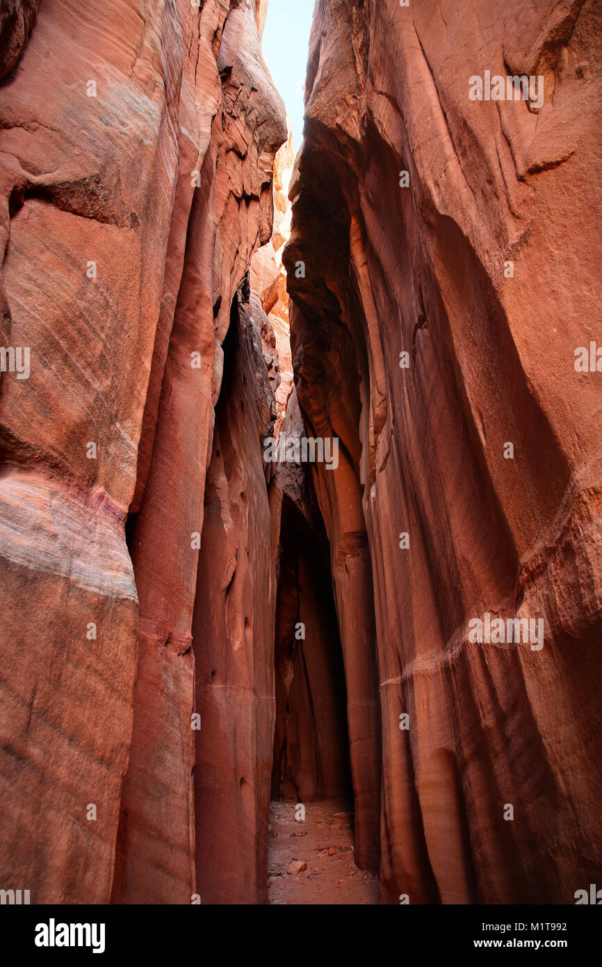 Vue à l'intérieur d'un étroit canyon de fente dans le sud de l'Utah Banque D'Images
