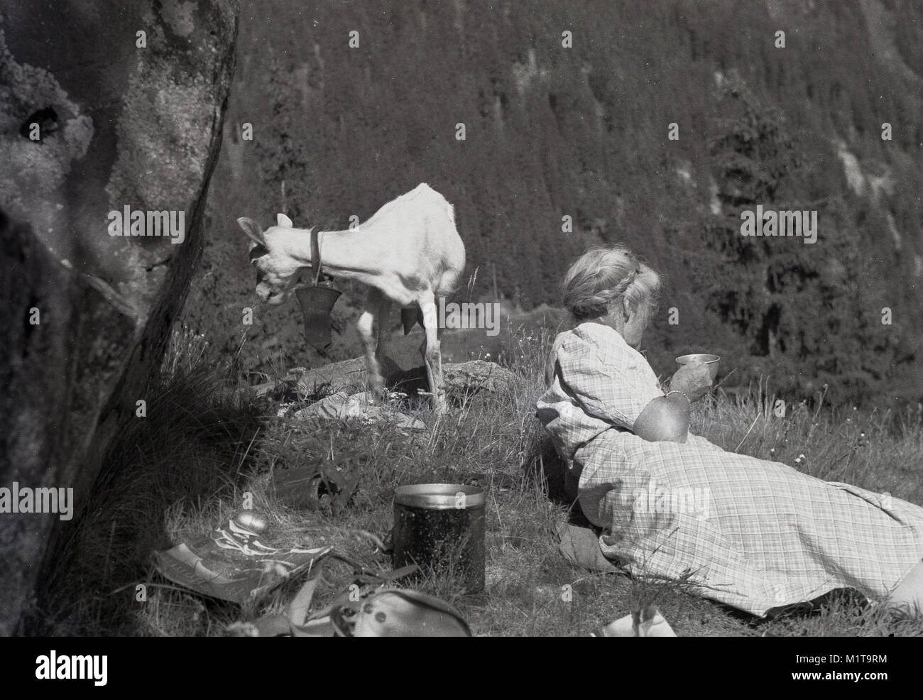 @ Années 1930, tableau historique, visiteur inattendu...l'été et une dame hiker reposant sur un hlllside dans les Alpes Suisses, prendre un verre à partir d'un gobelet de métal, a un syndicat, une jeune chèvre de montagne avec de grandes bell, Suisse. Banque D'Images