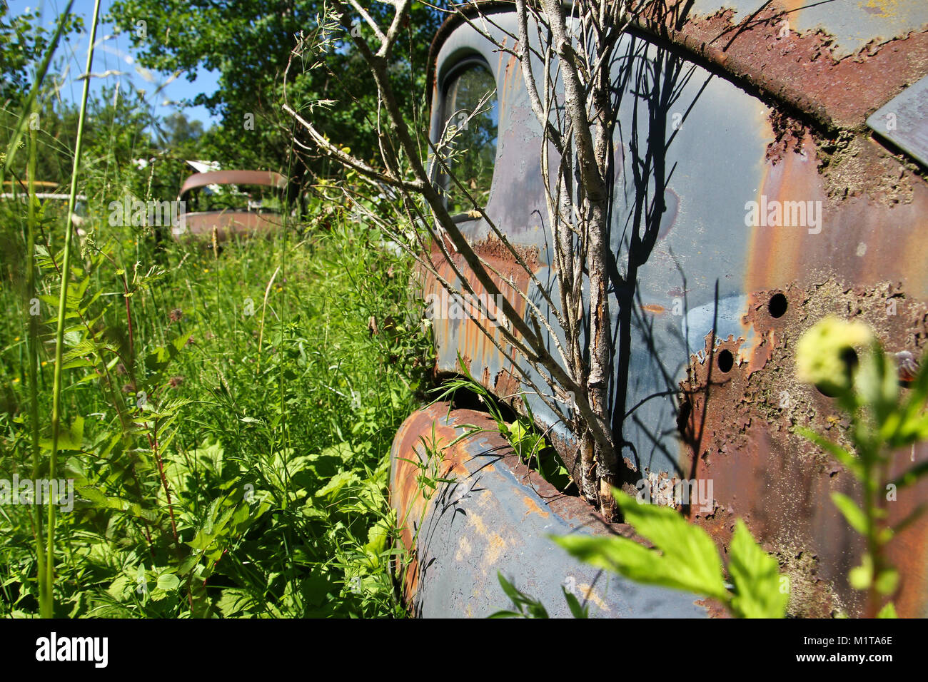 La voiture abandonnée caché profondément dans le cimetière des bois suédois. La nature est prenant lentement le contrôle. Banque D'Images