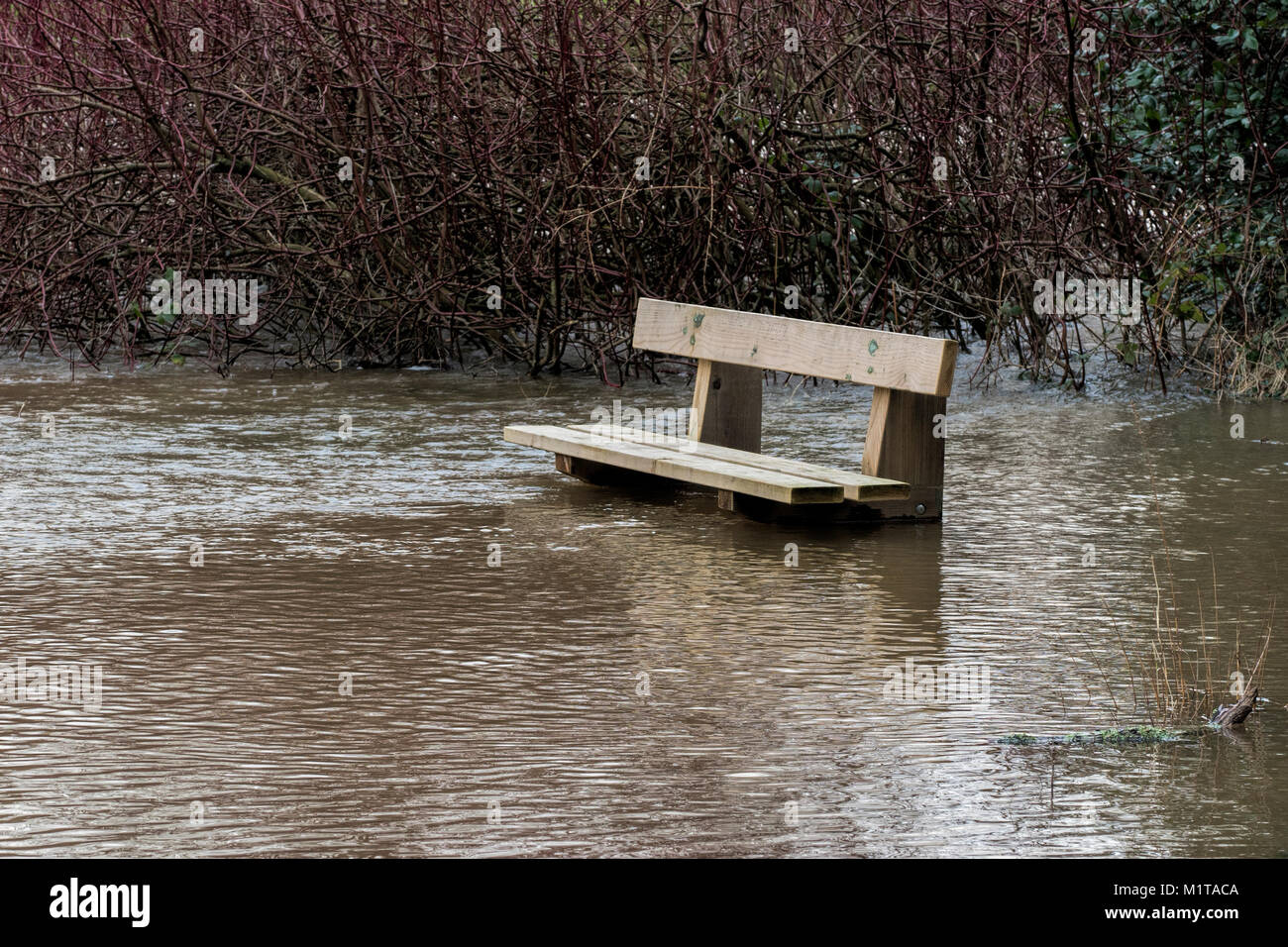 Banc de parc submergé au bord de la rivière Suir après quelques fortes pluies provoquant des inondations. Cahir, Tipperary, Irlande. Banque D'Images