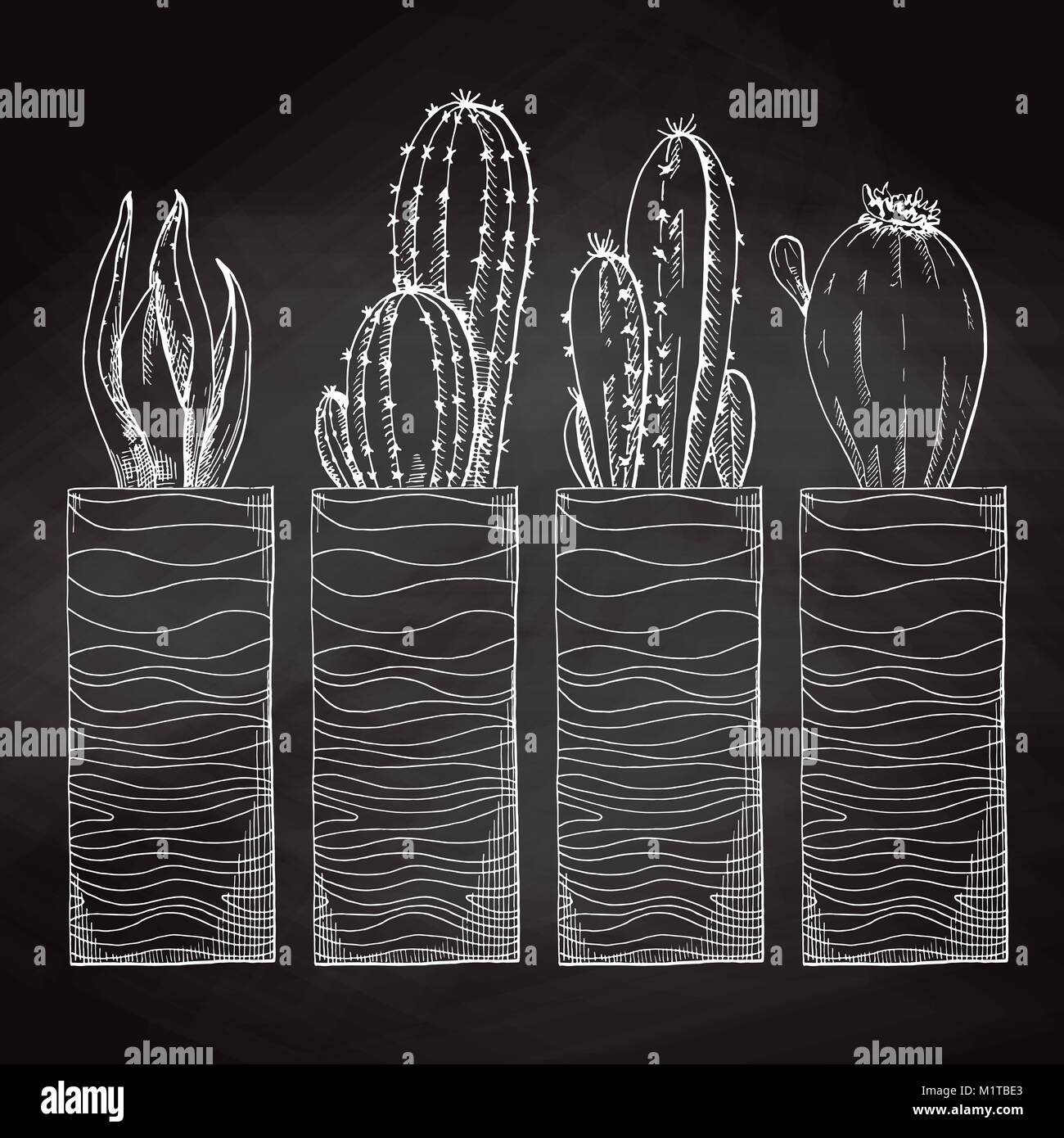 Croquis de plantes succulentes en pot haut isolé sur le tableau. . Vector illustration d'un croquis de style. Illustration de Vecteur