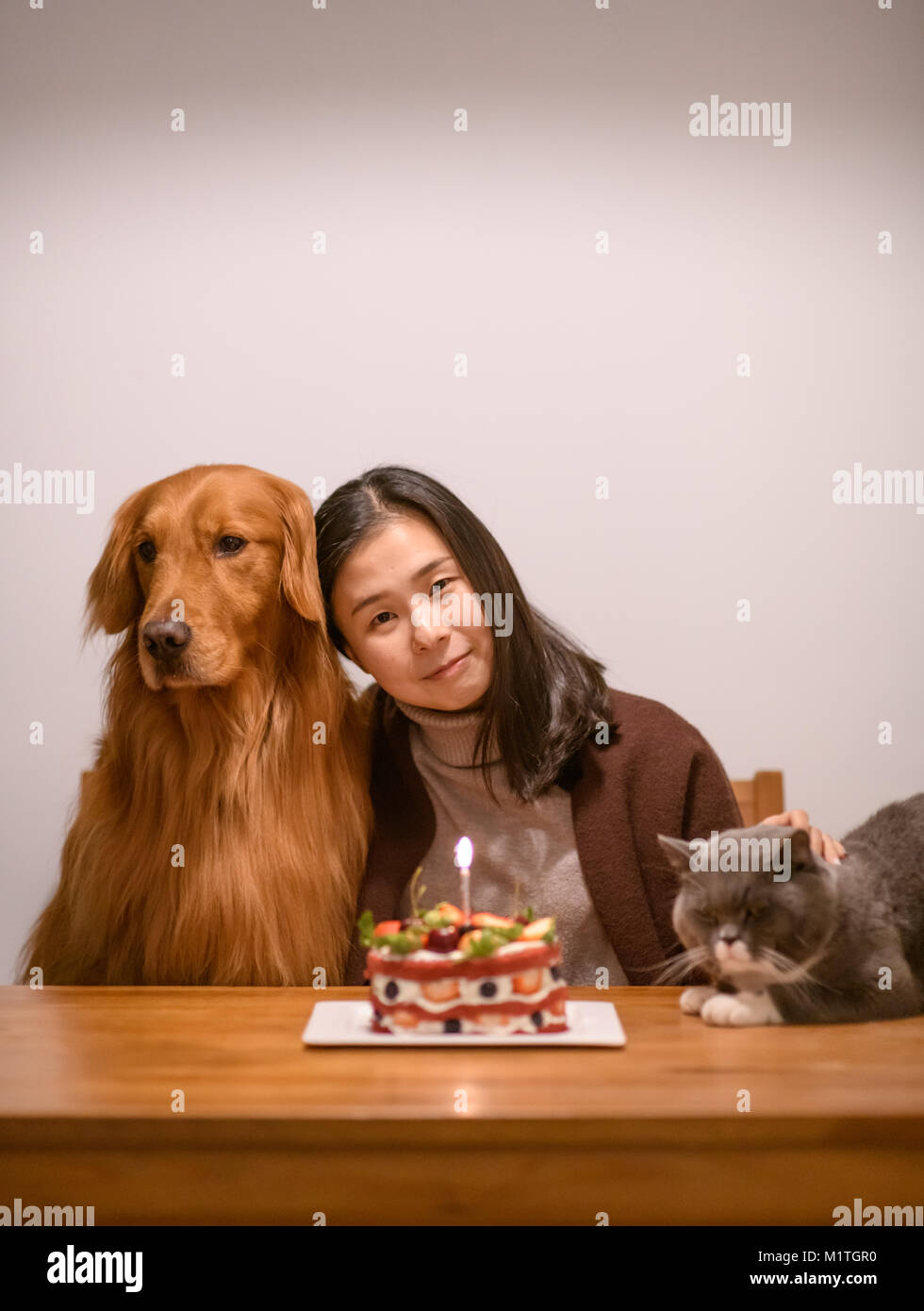 La Jeune Fille Avec Un Chat Et Un Chien Pour Son Anniversaire Photo Stock Alamy