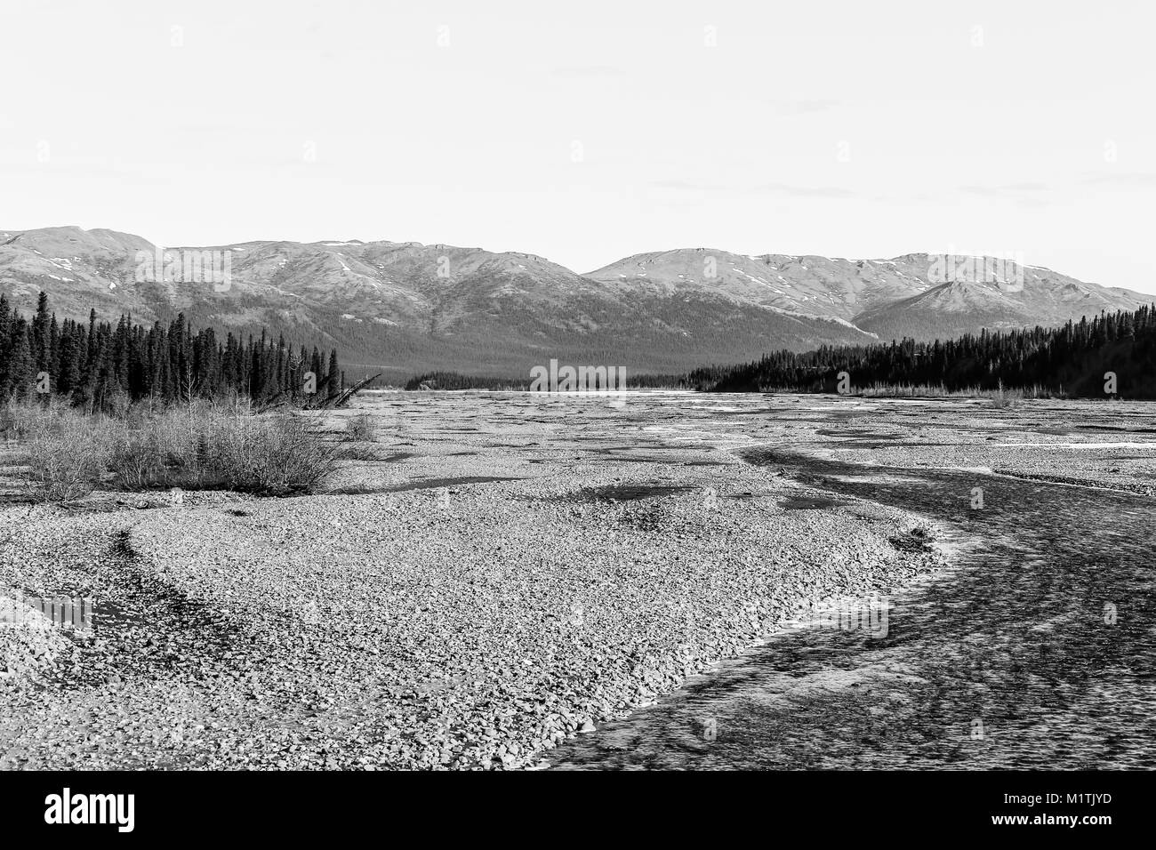 Petite rivière avec de gros gravier dans le parc national Denali en Alaska. Montagnes en arrière-plan. Banque D'Images