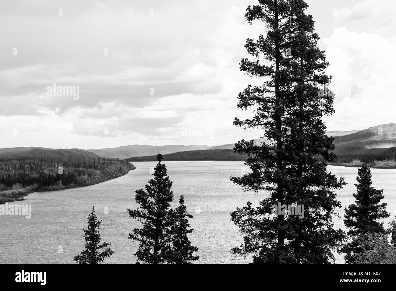 Le fleuve Yukon, dans le désert de l'Alaska, Etats-Unis, près de Yukon River Camp Banque D'Images