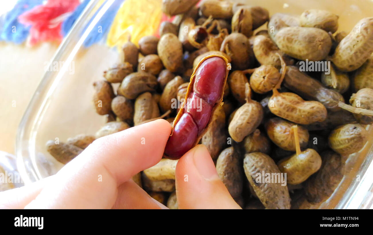 Arachides bouillies savoureuses dans le shell. Banque D'Images