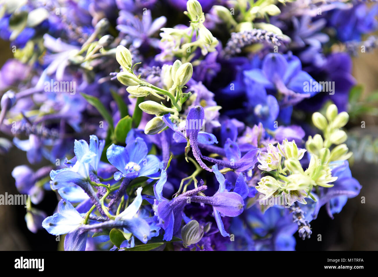 Bleu Et Violet Fleurs Dans Un Grand Bouquet De Mariage