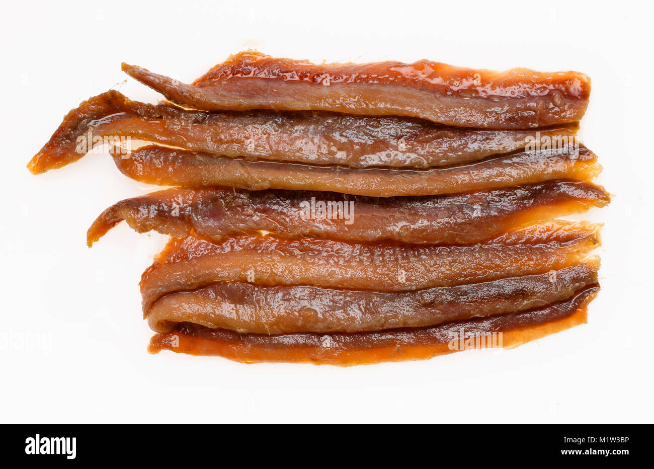 Portrait de filets d'Anchois against White Background Banque D'Images