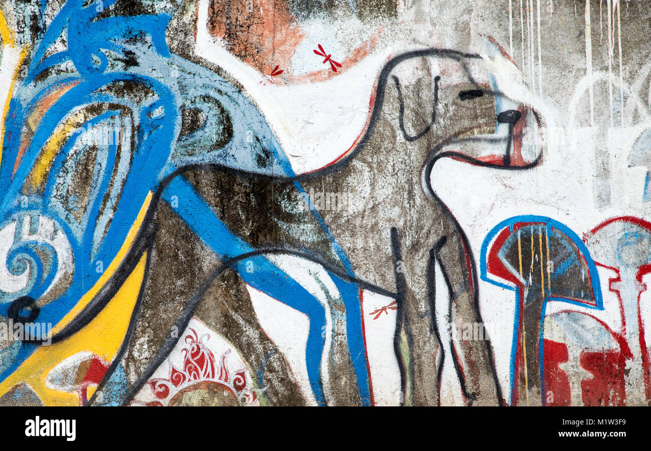 Graffiti chien Samara Costa Rica Amérique Centrale Banque D'Images