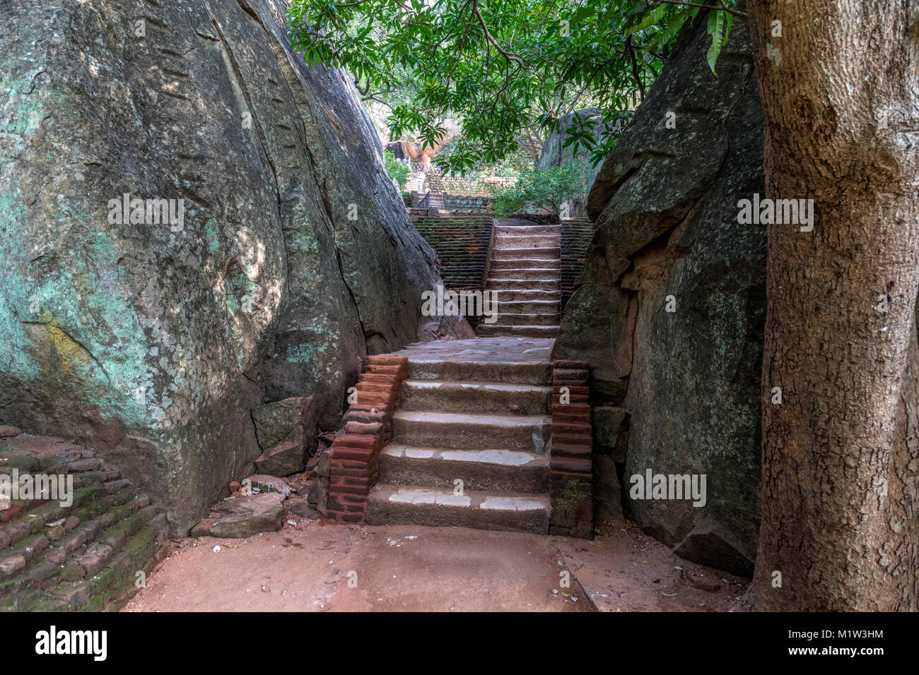 Le Rocher du Lion, Sigiriya, Matale, Province du Centre, au Sri Lanka, en Asie Banque D'Images