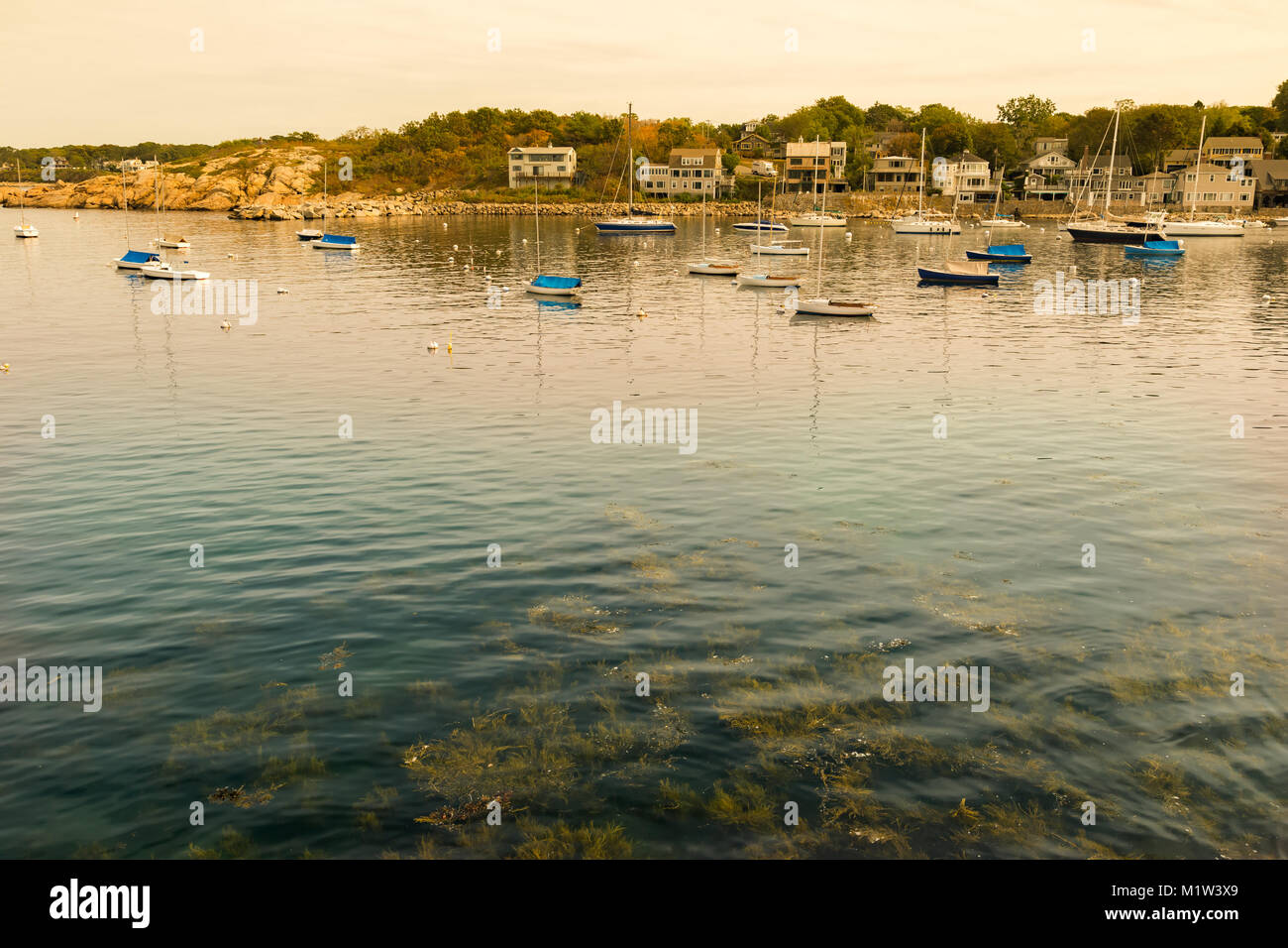 L'empreinte d'une tonalité de Rockport Harbor, MA Banque D'Images