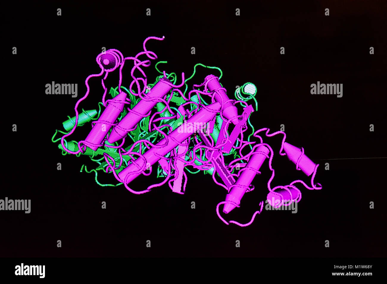 La structure du modèle de la molécule protéique. Le rendu 3D sur un fond noir. Banque D'Images