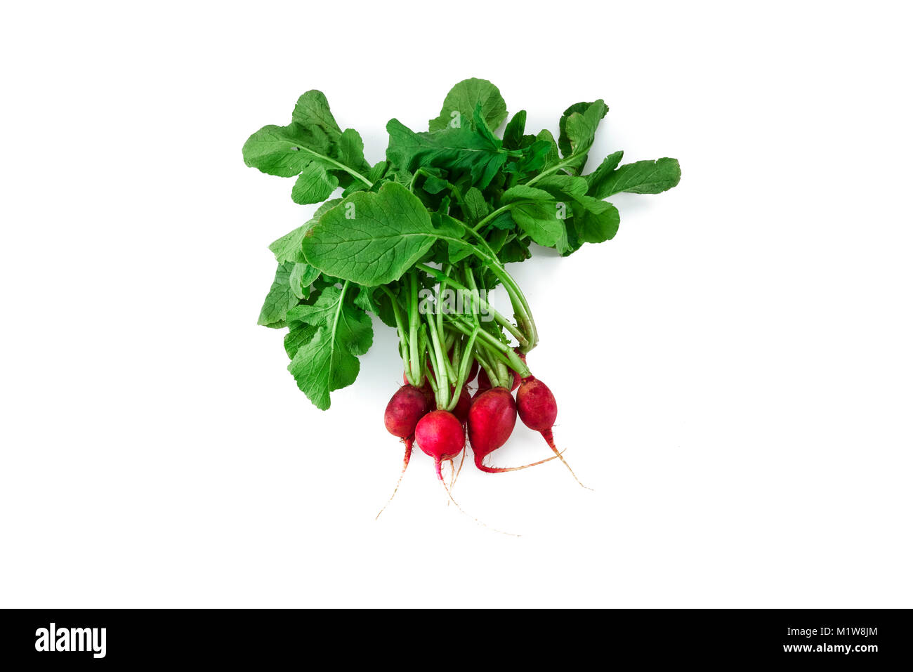 Produits frais bio légumes radis rouges mûrs isolés dans l'arrière-plan blanc Banque D'Images