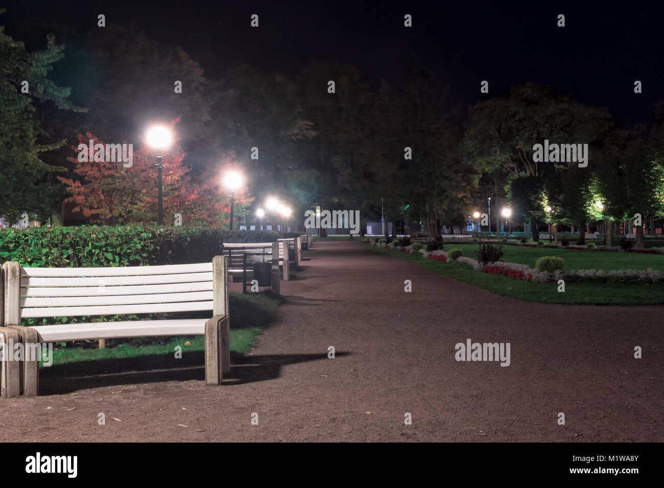 Les fleurs sont en fleurs dans la sombre nuit d'automne au parc Kadriorg à Tallinn, Estonie. Les bancs sont invitant les visiteurs à profiter de l'agréable feelin Banque D'Images