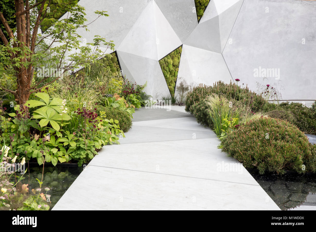 Chemin de jardin contemporain moderne et clôture murale au-dessus d'un étang avec arbustes pinus mungo et frontières de fleurs Royaume-Uni Banque D'Images