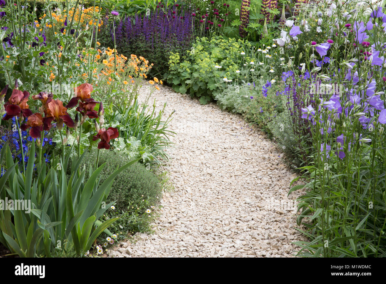 Jardin de gravier - chemin conduisant à travers un chalet jardin sauvage, Chelsea Flower show, Banque D'Images