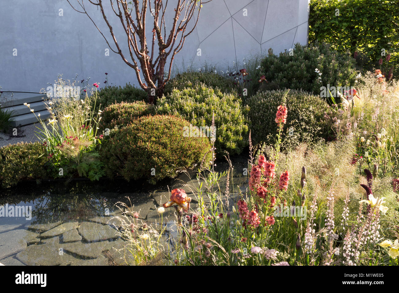 La BBC Radio 2 Jeremy Vine Jardin Texture, RHS Chelsea Flower Show 2017 Banque D'Images