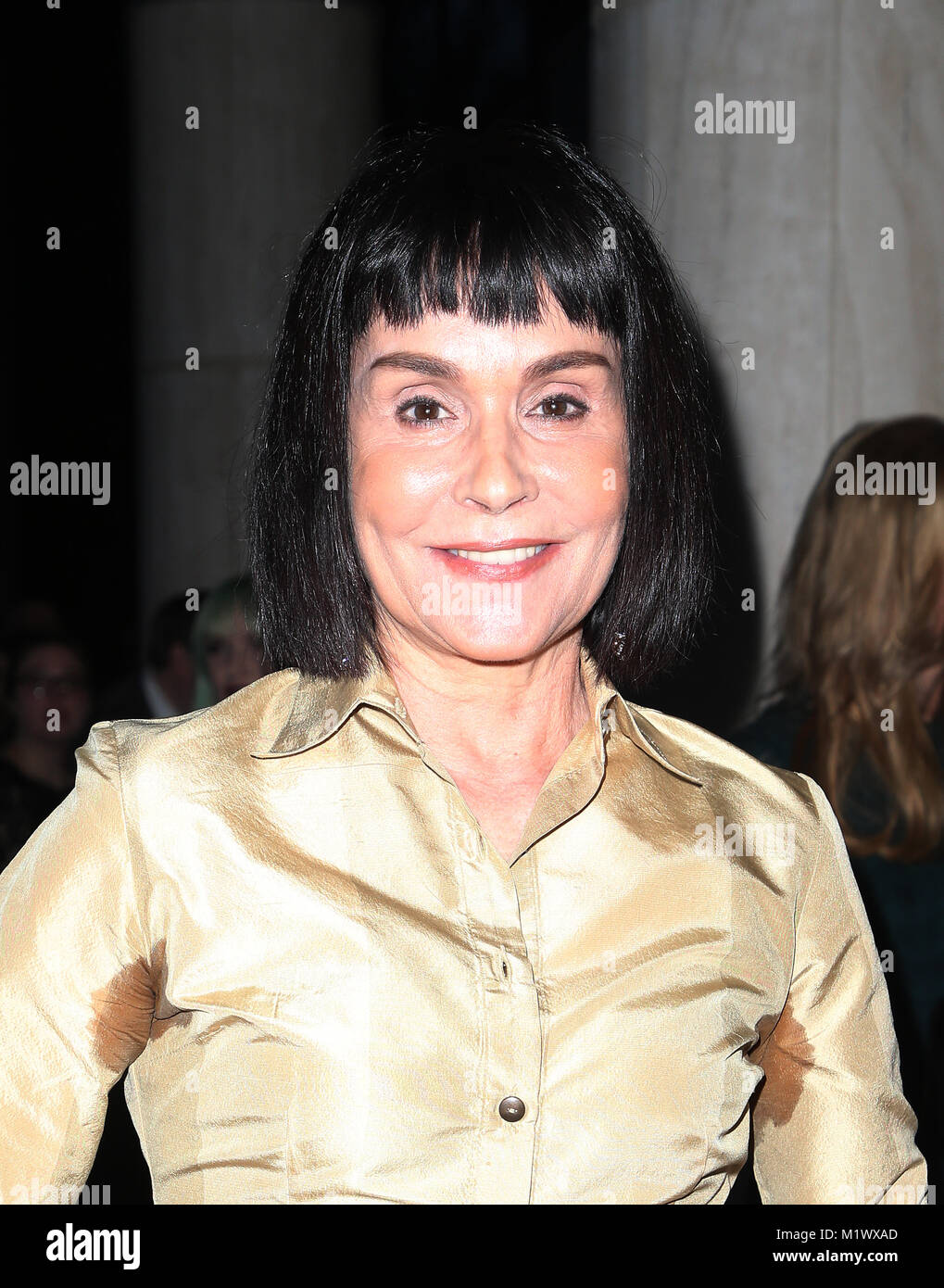 UNIVERSAL CITY, CA - Diane Venora, lors de la 26e à la remise des prix annuelle de cinéma Universal Hilton à Universal City, Californie, le 2 février 2018. Credit : Faye Sadou/MediaPunch Banque D'Images