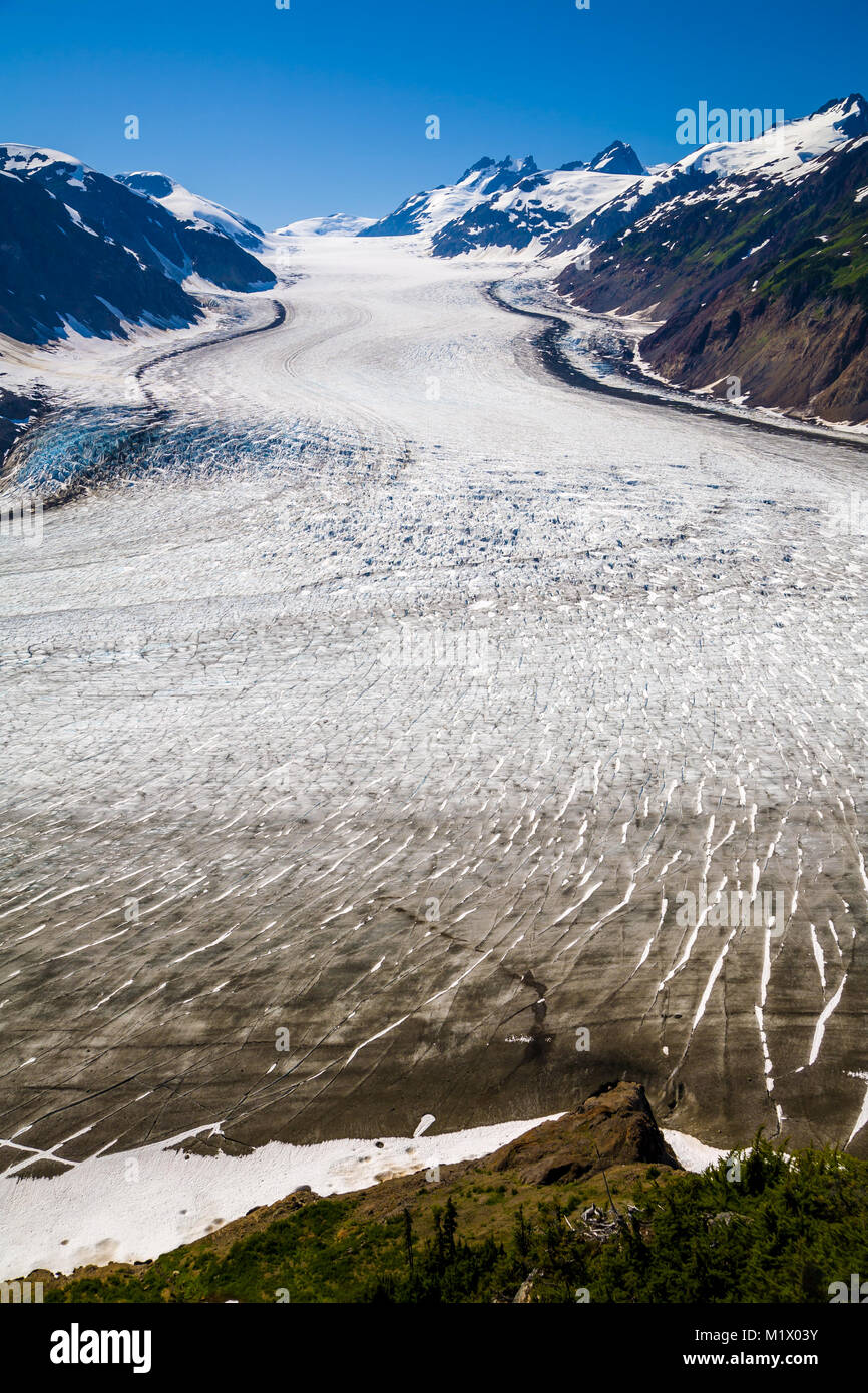 Donnant sur le glacier du saumon en Colombie-Britannique, Canada Banque D'Images