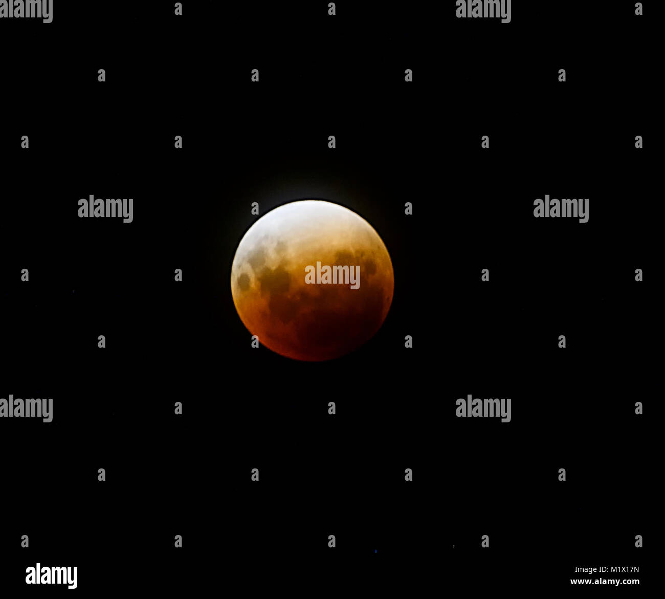 Sang Bleu Super Lune éclipse qui s'est produit le 31 janvier 2018 à Palm Cove, Cairns, Far North Queensland, Australie, FNQ Banque D'Images