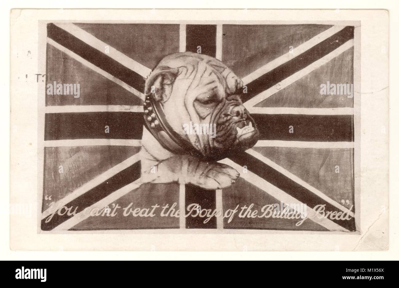 WW1 carte bulldog patriotique 'Vous ne pouvez pas battre les garçons de the bulldog breed', datée du 3 octobre 1914, R.-U. Banque D'Images