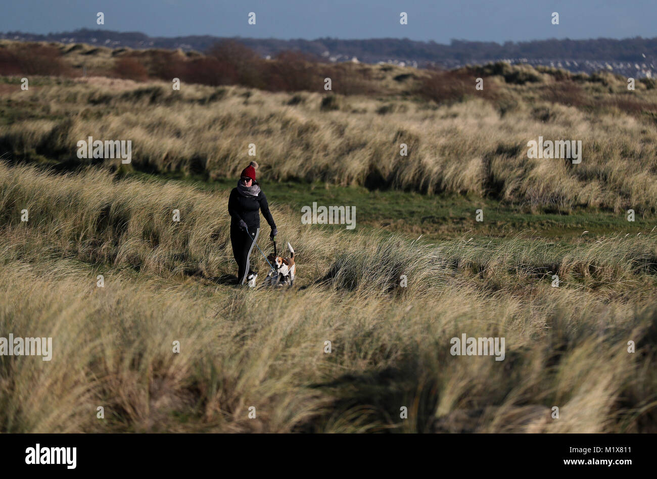 Une femme ramène un chien pour une promenade sur l'île de Bull à Dublin. Banque D'Images