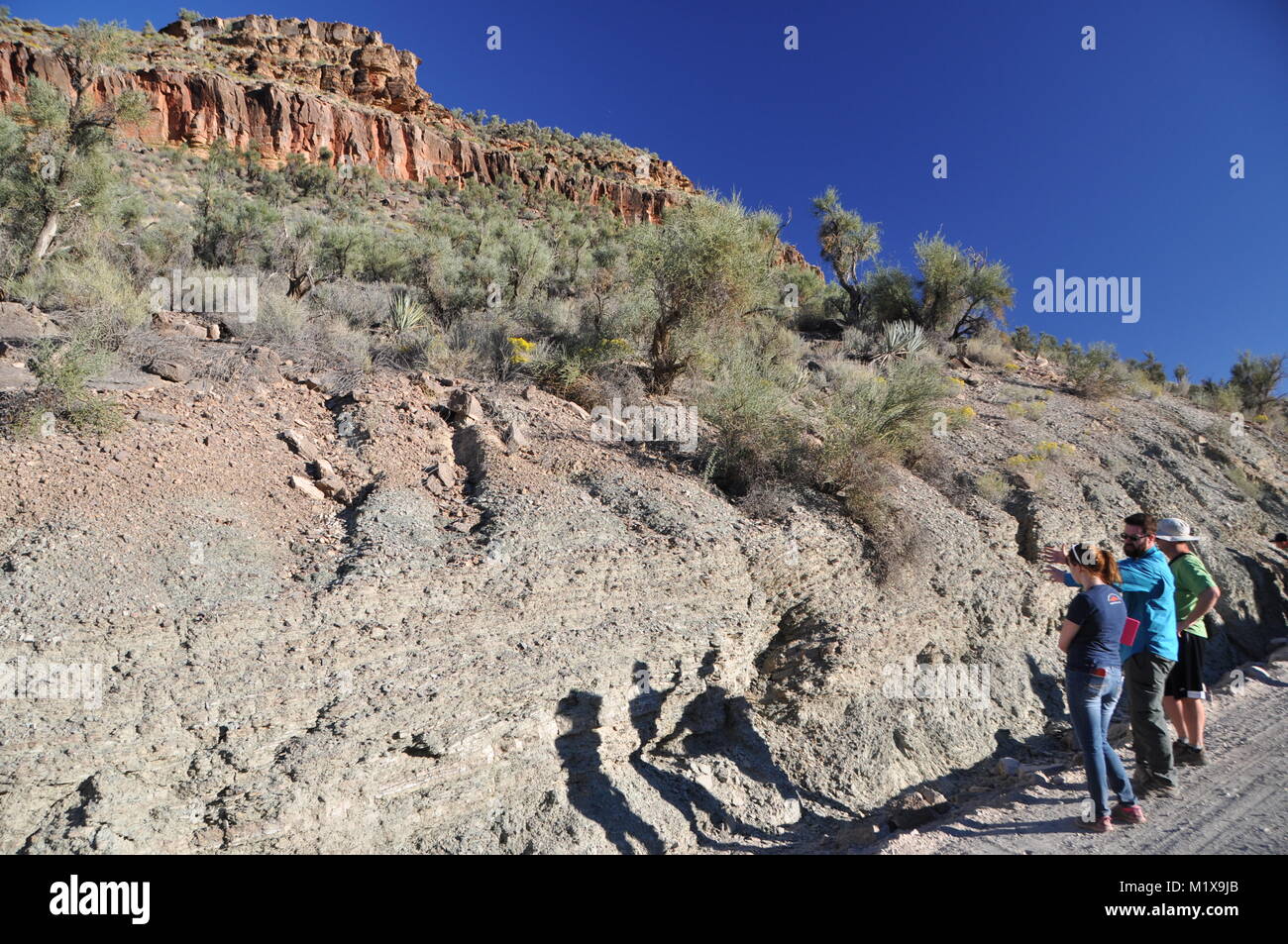 Les géologues et les élèves l'examen d'exposition de l'époque précambrienne et les roches cambriennes exposés en Peach Springs Canyon, Grand Canyon, Arizona, USA Banque D'Images