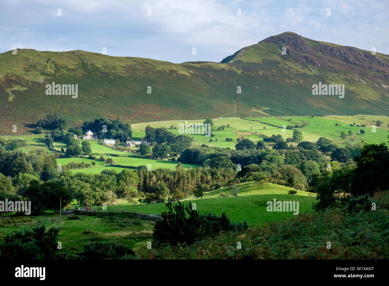 Avis de cloches de chat Outerside et Barrow, Derwent Water, Keswick, Lake District, Angleterre Banque D'Images