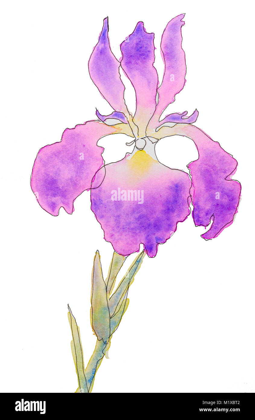 Dessin Peint à La Main Avec De Lencre Et Aquarelle Sur