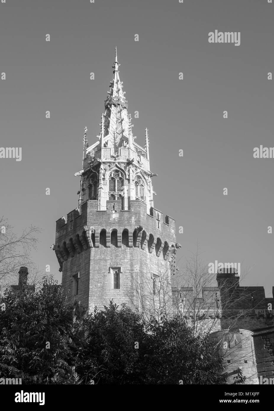 Le château de Cardiff nombre 3659 Banque D'Images