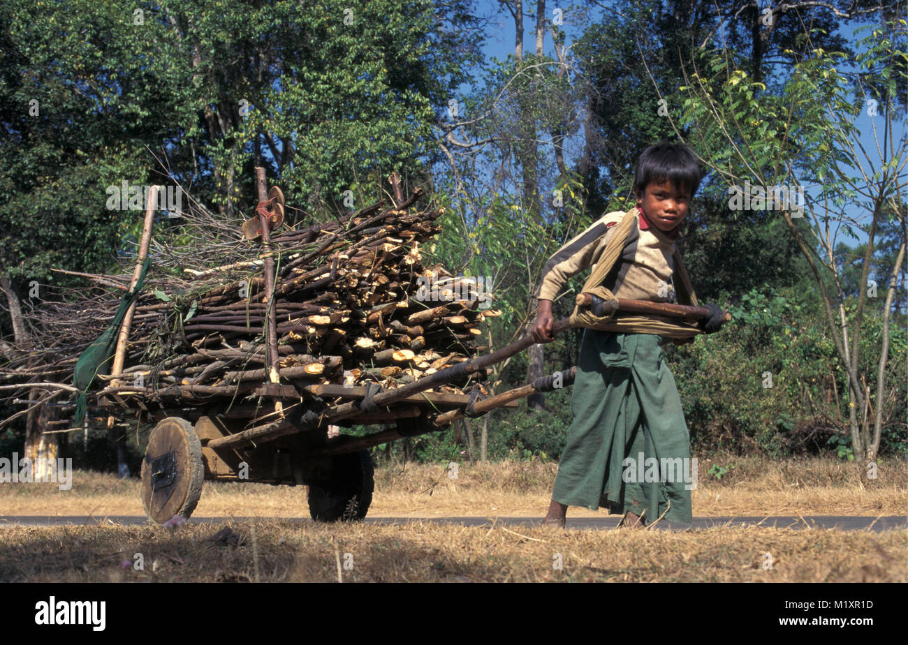 Myanmar (Birmanie). Près de Mandalay. Casrt garçon tirant avec le feu de bois. Banque D'Images