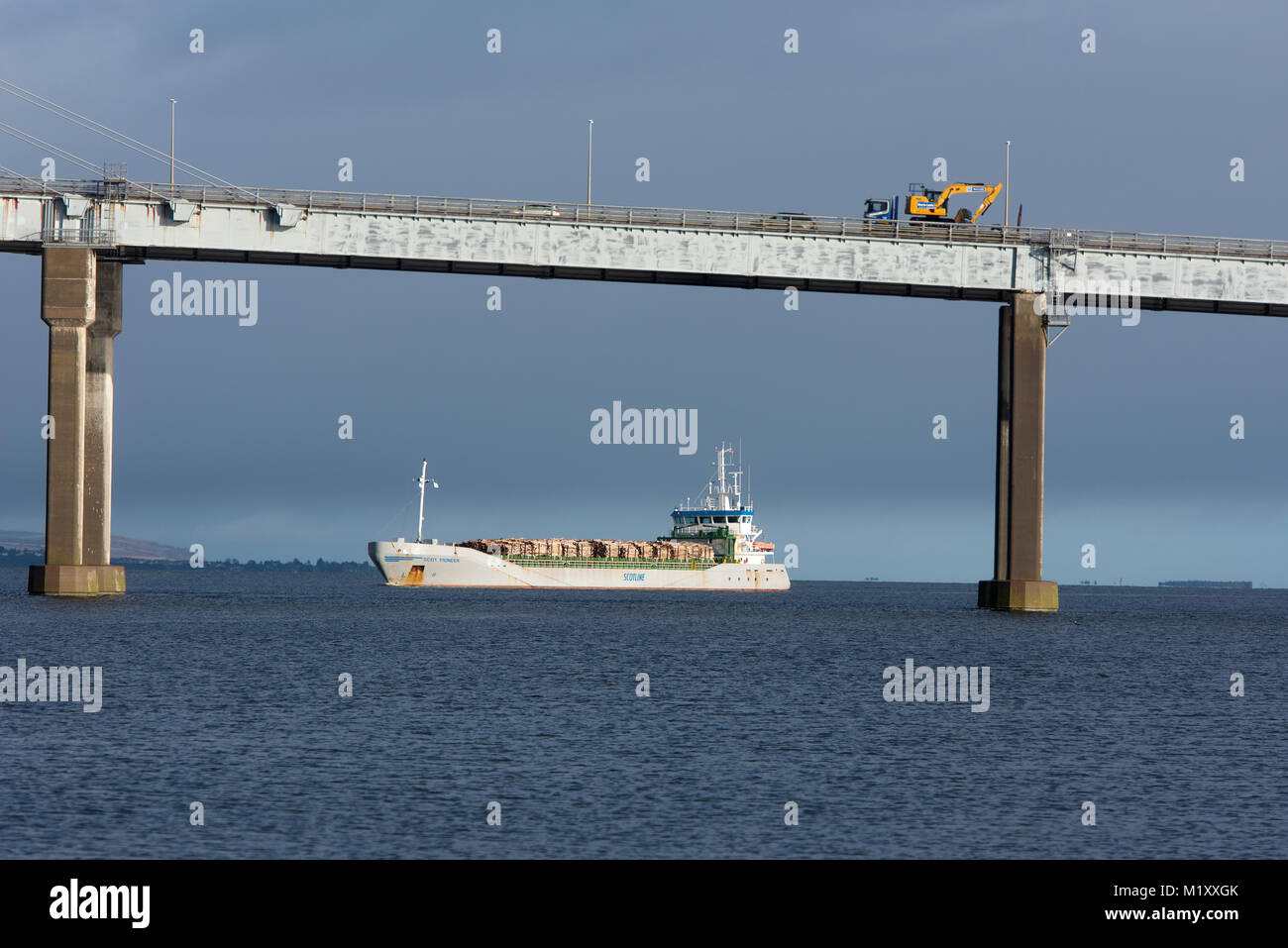 Bois de bouleau, de troncs d'arbre pour la mise en pâte d'arriver à Inverness par bateau dans le Moray, en Écosse. Banque D'Images