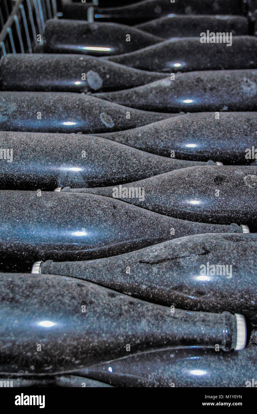 Des bouteilles de vin dans une cave, Tufo, Avellino Campania, Italie Banque D'Images