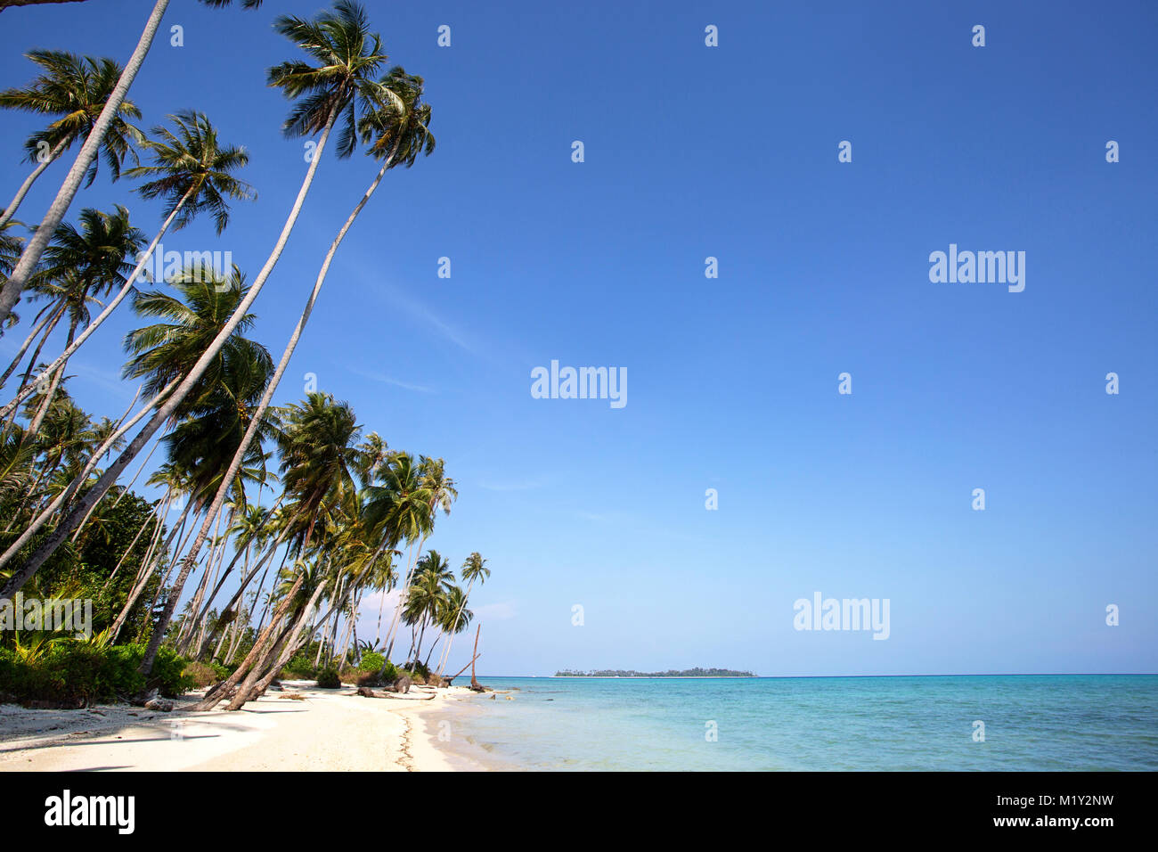 Belle plage de sable tropical avec une eau turquoise cristalline Banque D'Images