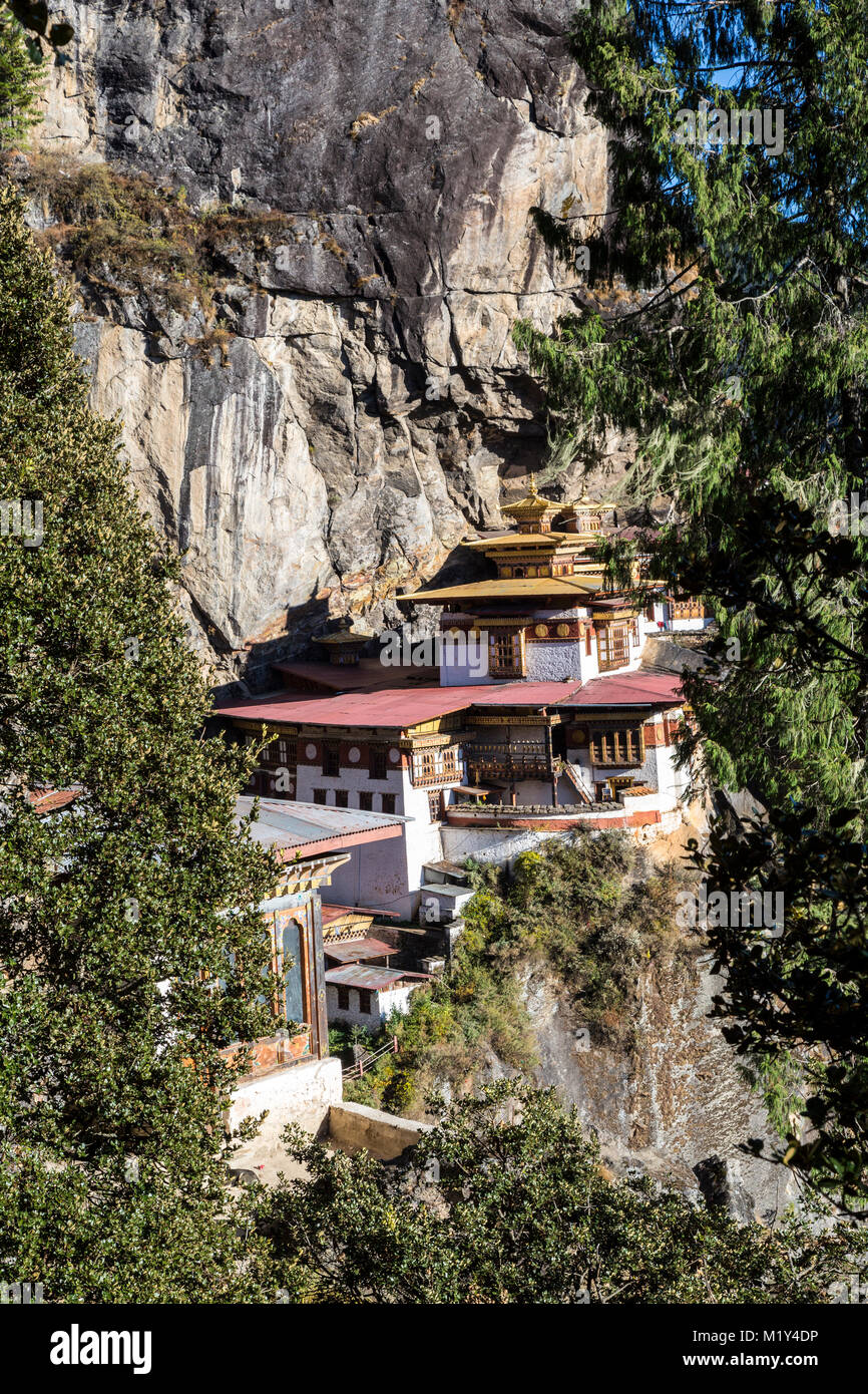 Paro, Bhoutan. Le nid du tigre monastère à travers les arbres. Banque D'Images