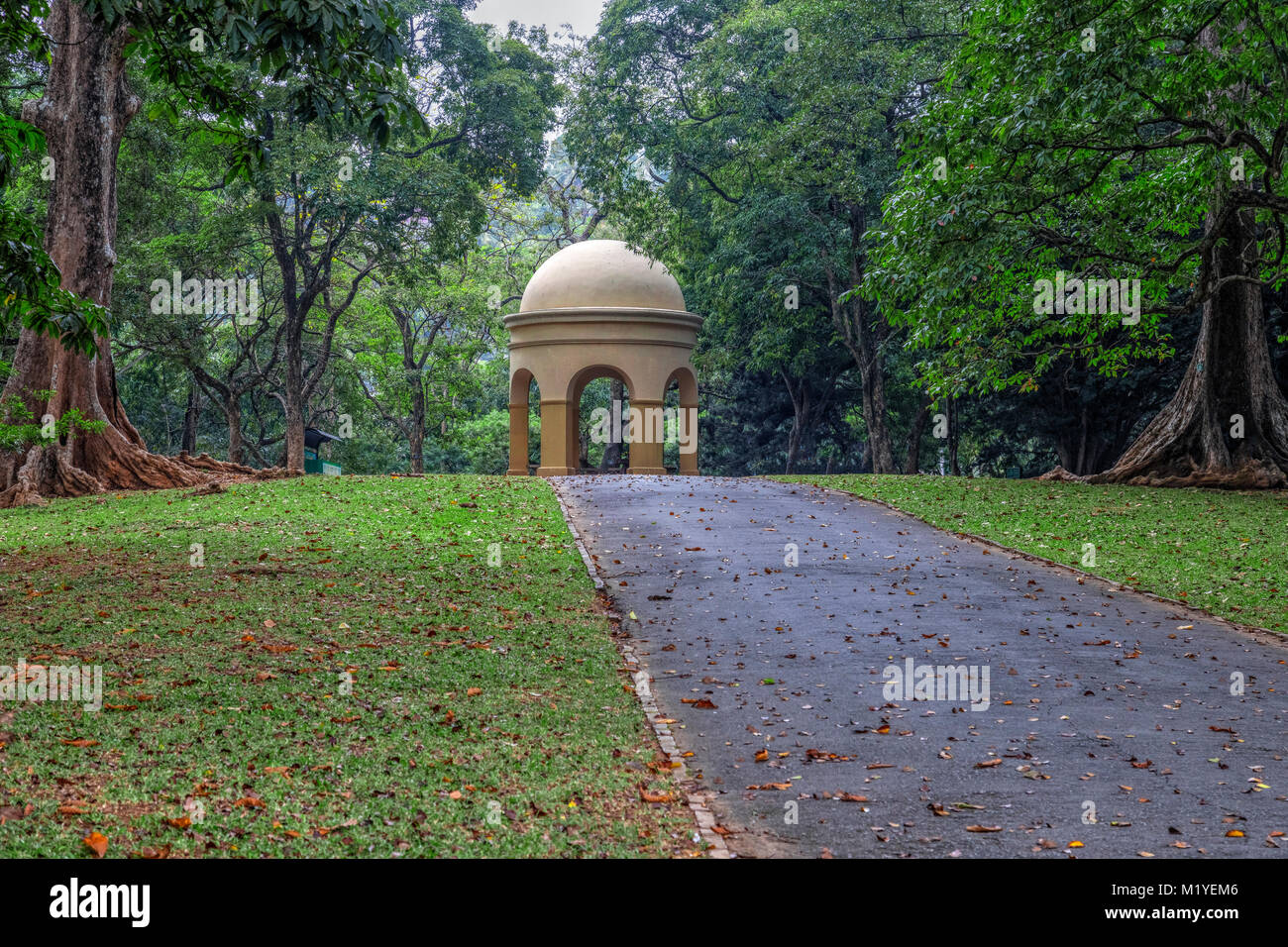 Jardins botaniques royaux, Peradeniya, Kandy, Province du Centre, au Sri Lanka, en Asie Banque D'Images