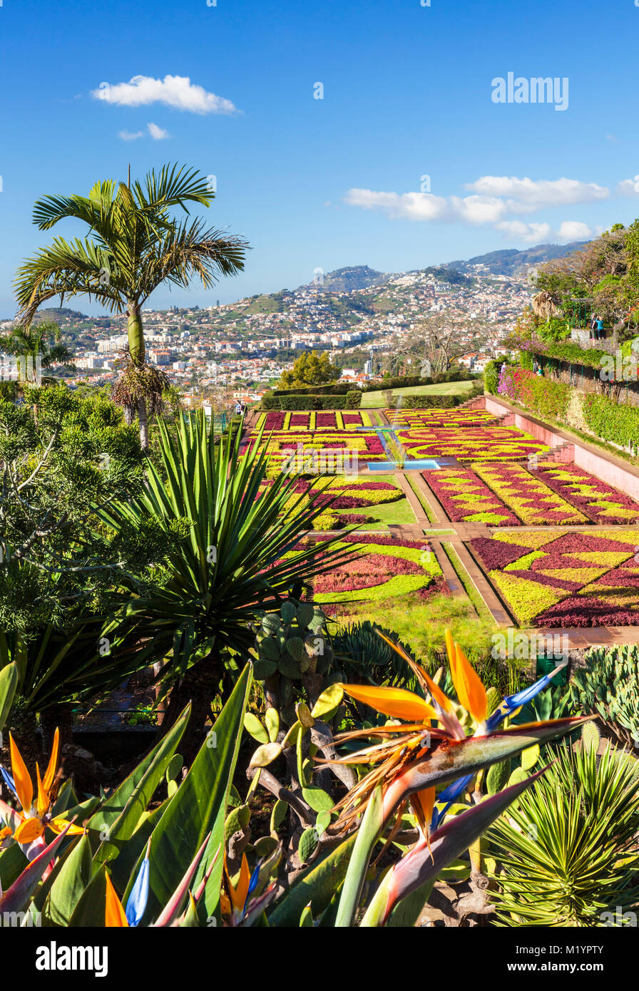 Madère PORTUGAL Madère Funchal jardins botaniques Jardins botanique Jardim Botanico au-dessus de la capitale de Funchal, Madeira, Portugal, Union européenne, Europe Banque D'Images