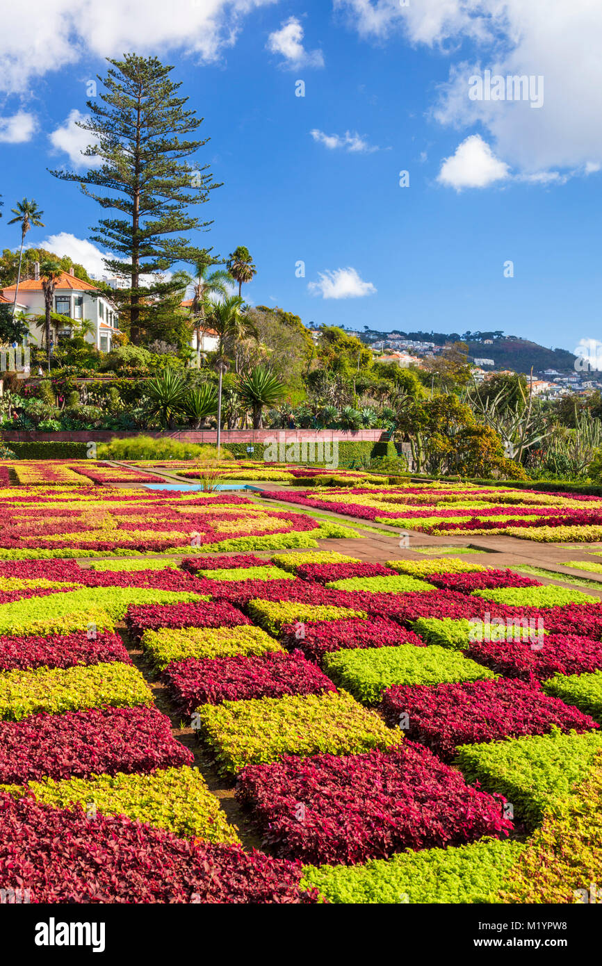 Madère PORTUGAL Madère Funchal jardins botaniques Jardins botanique Jardim Botanico au-dessus de la capitale de Funchal, Madeira, Portugal, Union européenne, Europe Banque D'Images