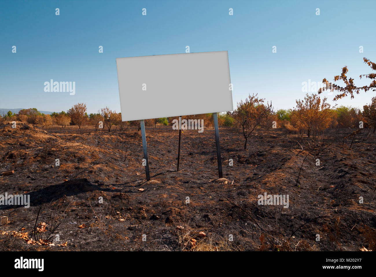 Blank billboard des maquettes dans une parcelle brûlée Banque D'Images