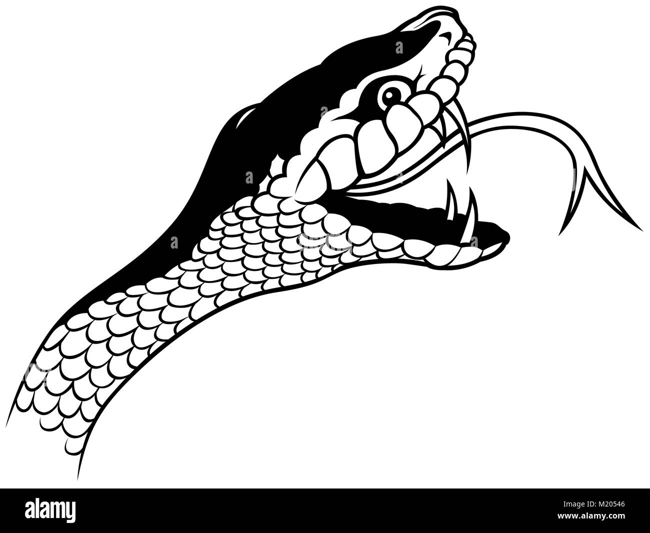 Gros Plan Du Serpent Banque D images Noir Et Blanc Alamy