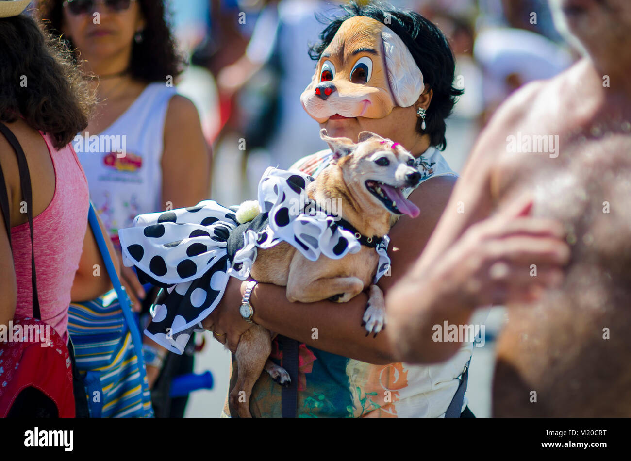 RIO DE JANEIRO - février 19, 2017 : le propriétaire d'un chien marche avec son animal habillé pour le carnaval annuel à l'Blocão animal street party à Copacabana. Banque D'Images