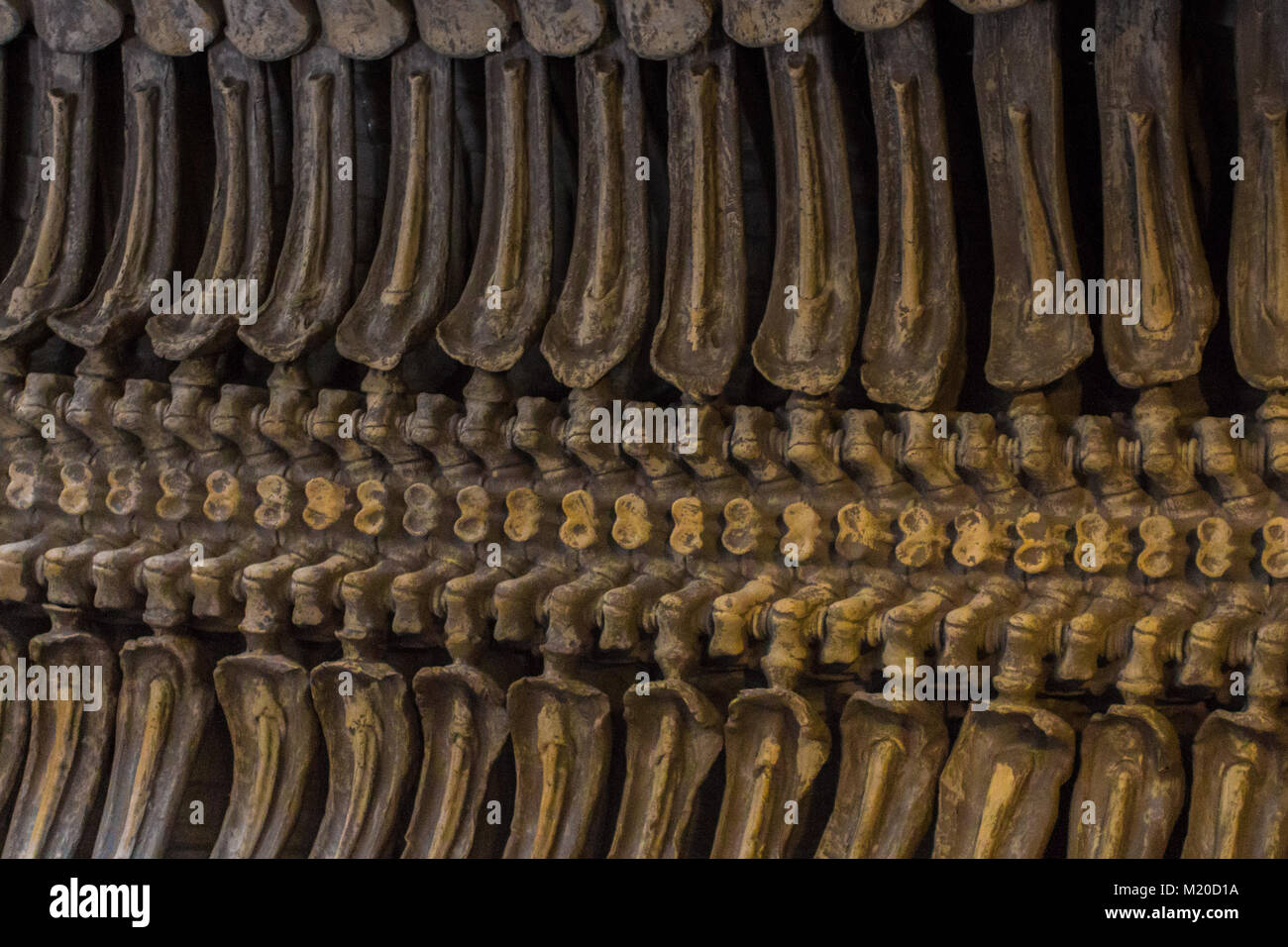 Vue de l'intérieur du bar HR Giger dans le petit château Village de Gruyères. Cet artiste était célèbre pour les films à succès tels que Alien Banque D'Images