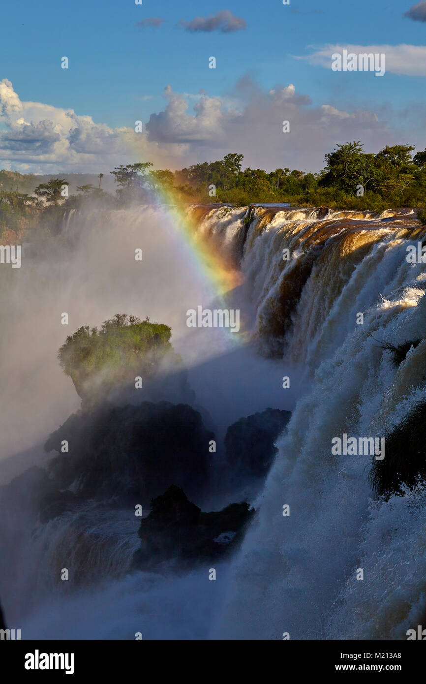 - Argentine Iguacu Falls Banque D'Images