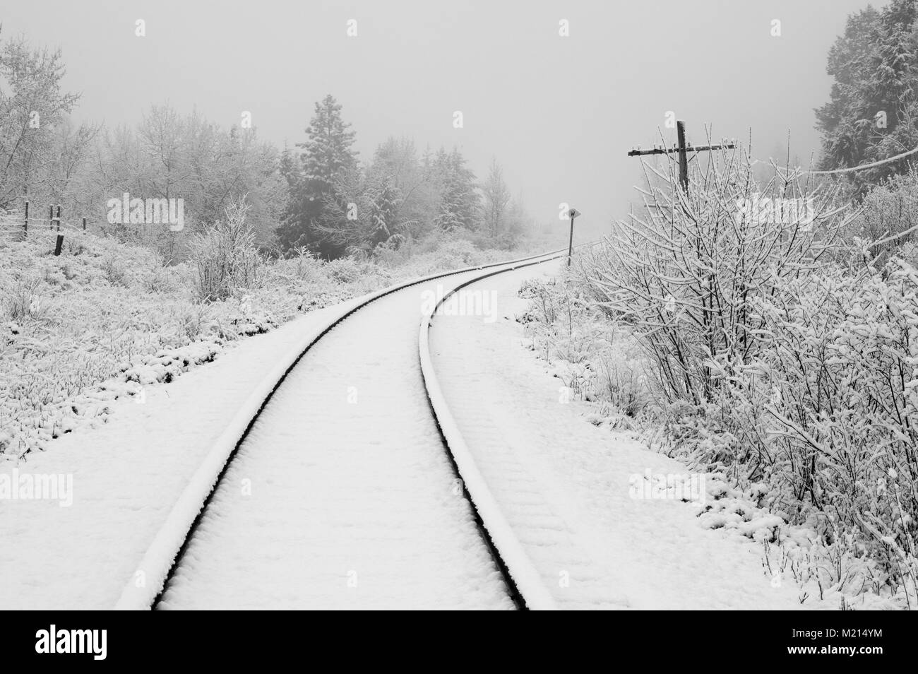 La vallée de Creston, en Colombie-Britannique, Canada. La neige a couvert railroad épi en monochrome. Banque D'Images