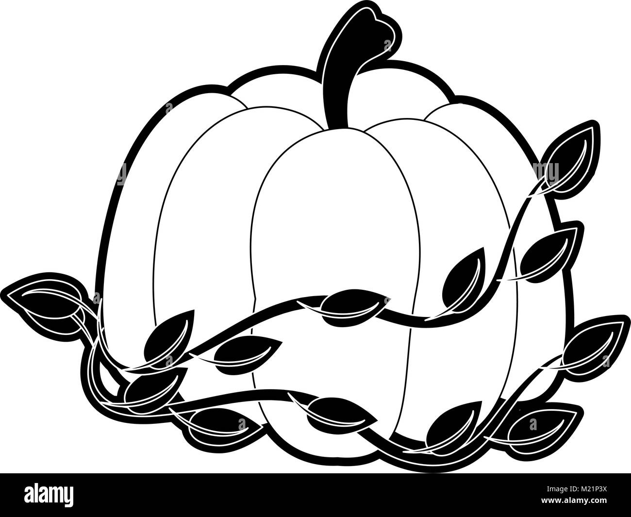 Des légumes frais à la citrouille Illustration de Vecteur