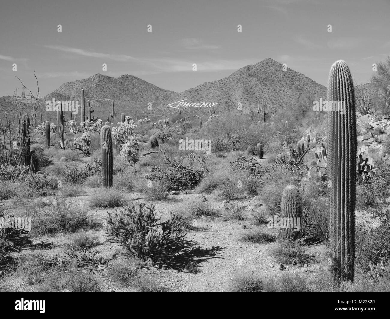 Du désert de l'est de Phoenix, Arizona Banque D'Images