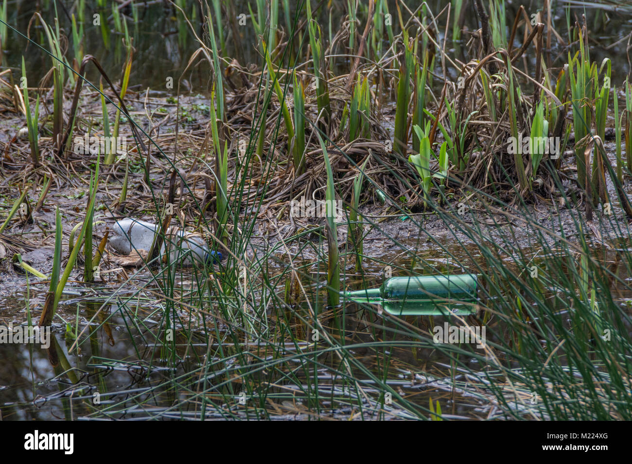 Les bouteilles en verre et plastique échoués en zone marécageuse - métaphore de la pollution de l'environnement en plastique / plastique déchets en plastique sur la guerre / Campagne Banque D'Images