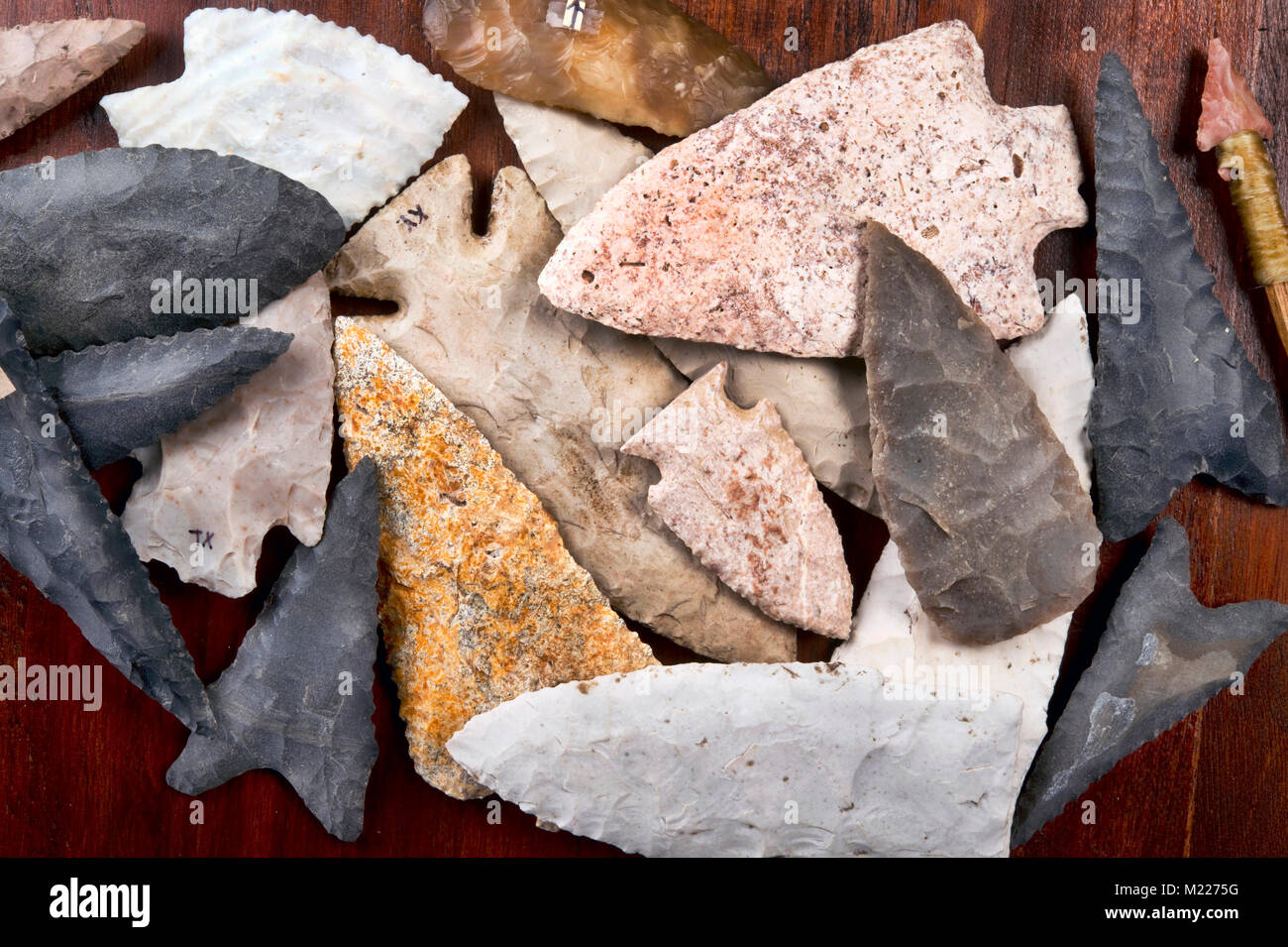 Du vrai American Indian arrowhead trouvés au Texas, au Kentucky et de l'Arkansas fait autour de 6 à 9 milliers d'années. Banque D'Images