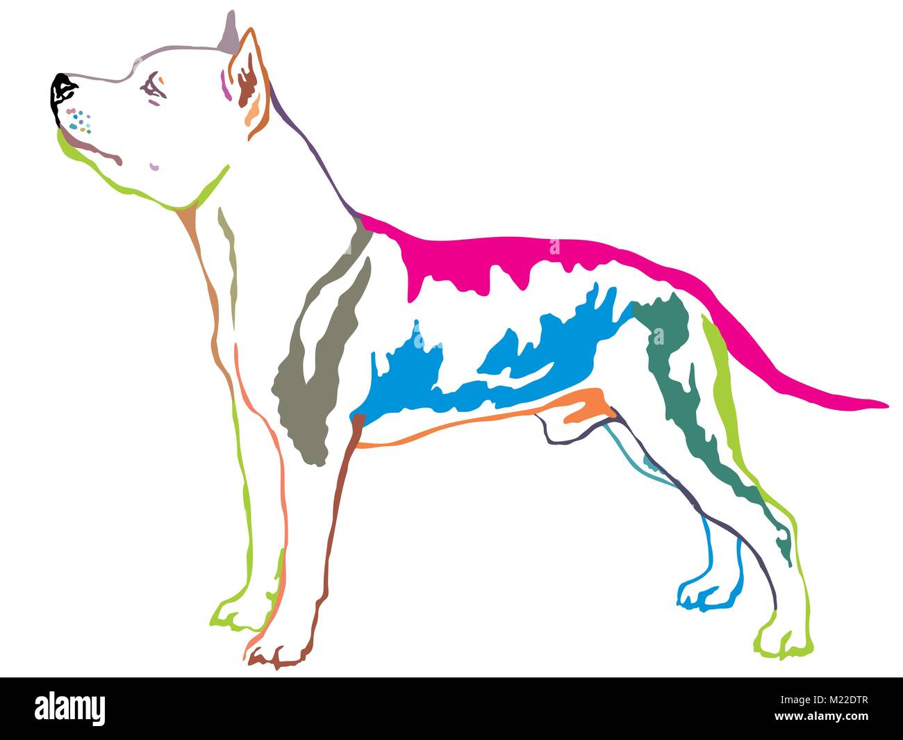 Contour coloré de l'article portrait de décoration en profil chien American Staffordshire Terrier, vector illustration isolé sur fond blanc Illustration de Vecteur