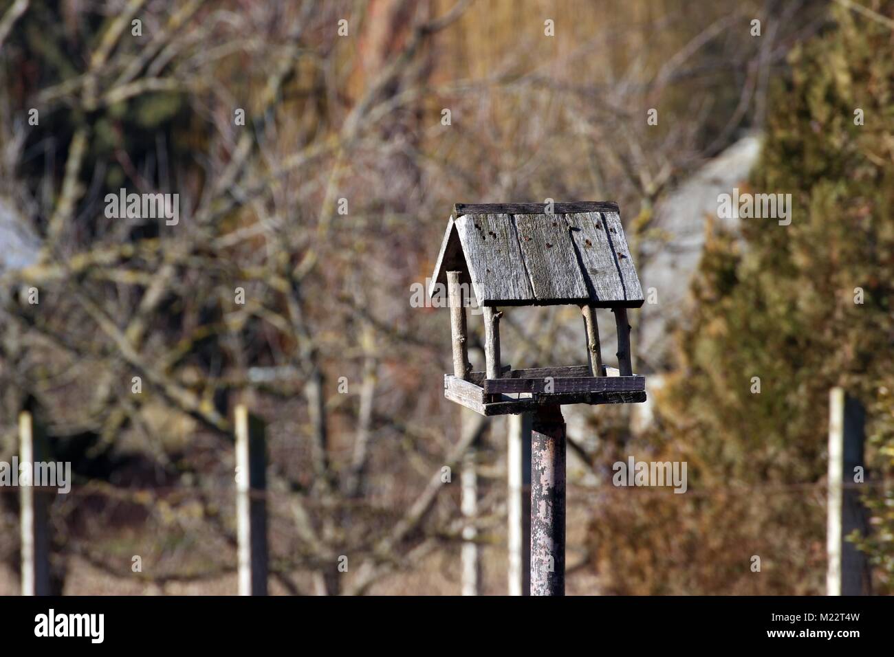 L'alimentation des oiseaux vide Banque D'Images