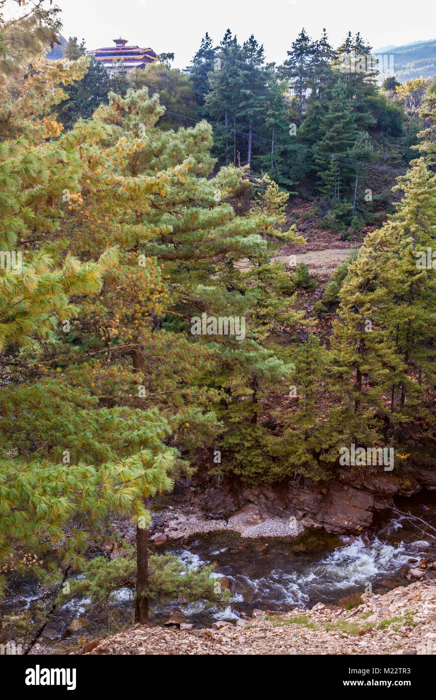 Prakhar Lhakhang (Temple, monastère), la forêt de montagne, vallée Chumey, Bumthang, Bhoutan. Banque D'Images